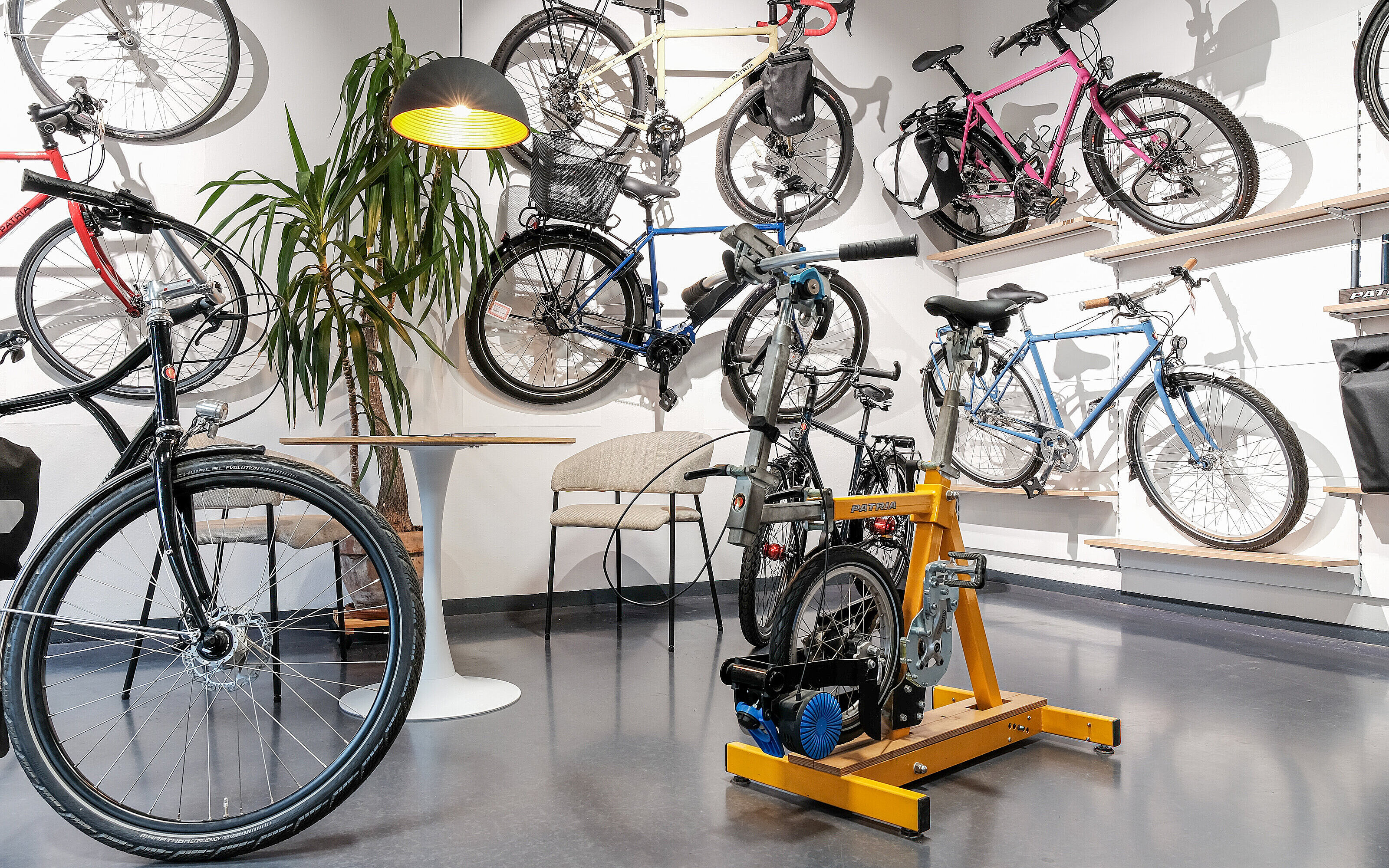 Wir beraten dich zu deinem Fahrrad nach Maß
